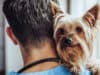 When to go to the vet