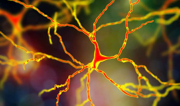 Neurological consequences