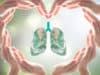 WHO: Global tuberculosis progress at risk