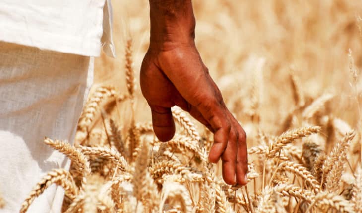 food-security
