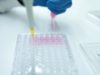 New imaging for targeted cancer therapy