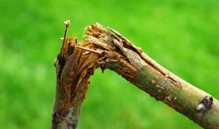 Breaks, sprains and dislocations