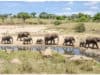 My midwifery trip to Africa
