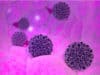 Genes associated with increased risk of cervical cancer identified