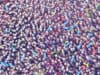 Mind-altering microbes: how the microbiome affects brain and behavior