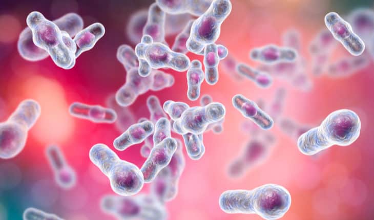C. difficile