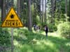 Ticks and the danger of Lyme disease for you and your dog