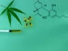 Cannabis capsules for neurological diseases