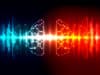Researchers discover rare cause of epilepsy