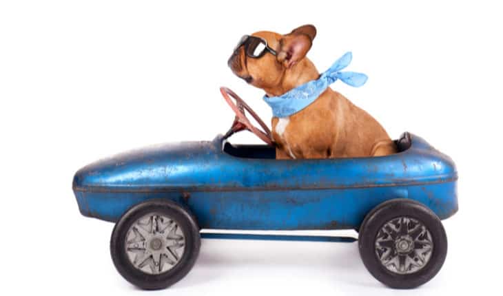 safe car travel