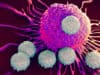 Improving immune response to cancer