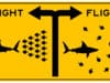 Fight-or-flight response is altered in healthy young people who had COVID-19