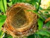 Coping with “Empty Nest Syndrome”