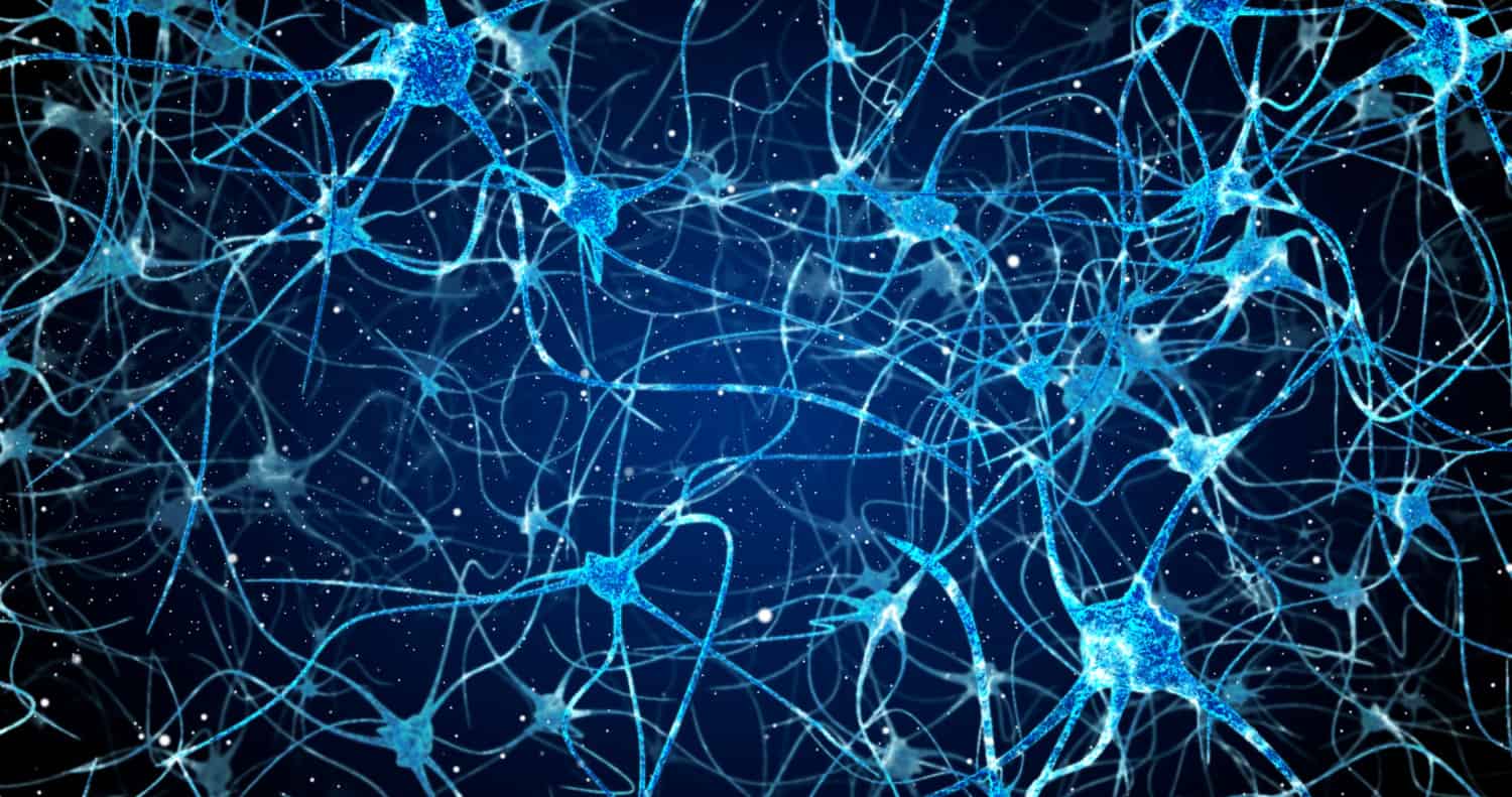 New understanding of how brain cells talk - The Hippocratic Post