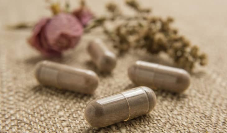 Placentophagy