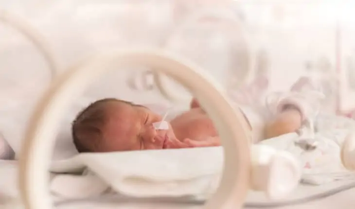 premature infants