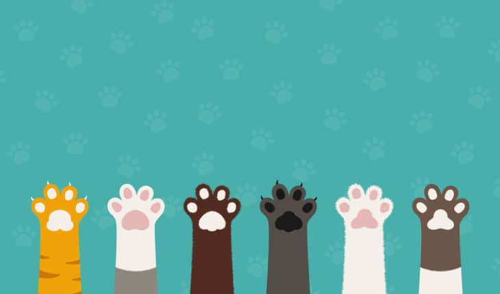 dogs