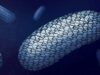 The protective armour of superbug C.difficile revealed