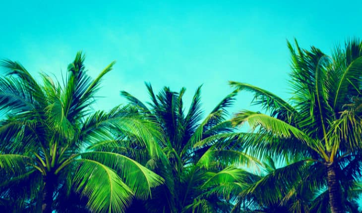 Pacific