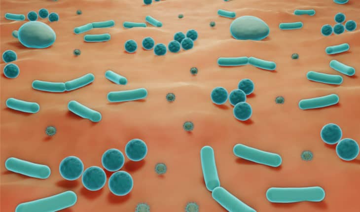 microbiome