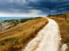 From respiratory research to long covid pathways