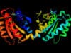 Pioneering Parkinson’s research at the RVC