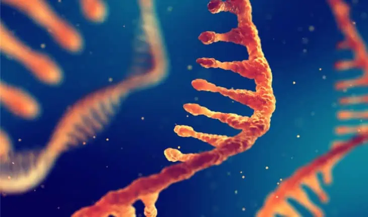 microRNA