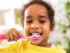 BSPD’s incoming President, Dr Shannu Bhatia looks to future-proof the paediatric dentistry workforce
