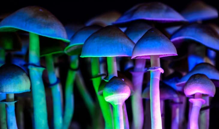 Psilocybin