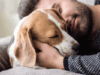 Emergency tips to save your dog’s life