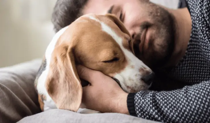 pet