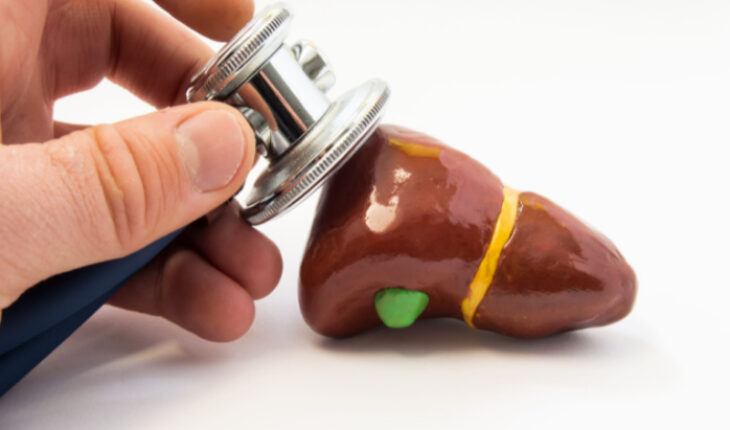 liver