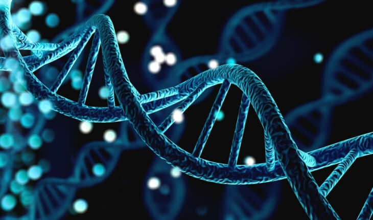 DNA could