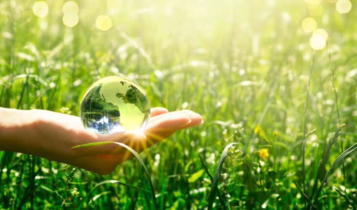 sustainability