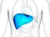 Liver tissue regeneration