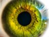 Clinical trial offers more than a glimpse into eye treatments