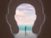 Shifts in the clinical landscape of autism