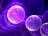 Pioneering bacteria research
