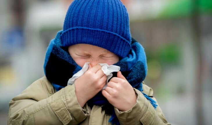 human immune system