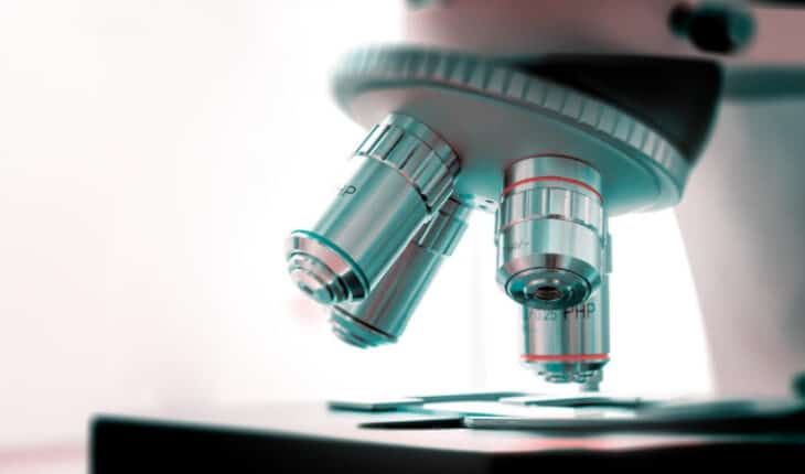 biochemical