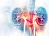 Mini kidneys pave the way to better treatments