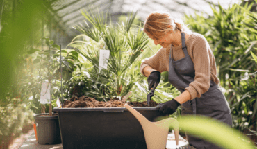 Gardening