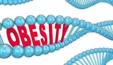 obesity-related genes