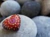 New PhD course in Indigenous Knowledge