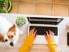 How your pet can benefit your mental health