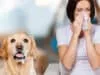 Asthma: Everyday Triggers Making Your Symptoms Worse