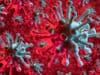 Covid-19 vaccine that can cope with mutated viruses
