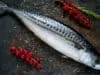 Fatty fish consumption increases cell membrane fluidity