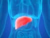 Focus on the gut-liver axis