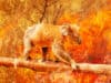 Weighing up risk: home insurance in a changing climate